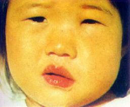 ���·���֯��(��)