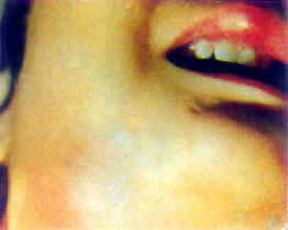 ���·���֯��(��)