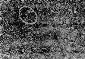 ������Ӳ������С������