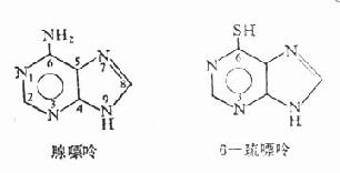 6-������