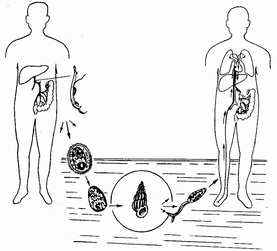 Ѫ��������ʷ 