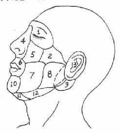 ��沿����