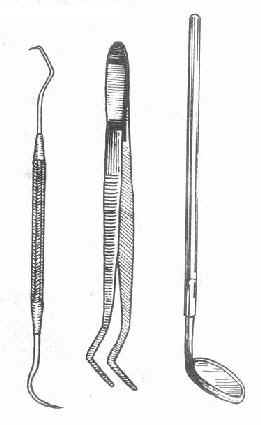 ̽�� ���� �ھ�