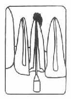 ���۲������Լ����ף��������и���������е��