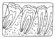 ���۹Ǣ������