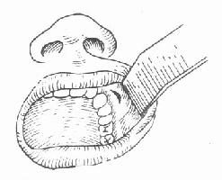 ���·���֯���п��������п�