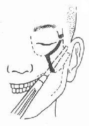 �����п���λ��