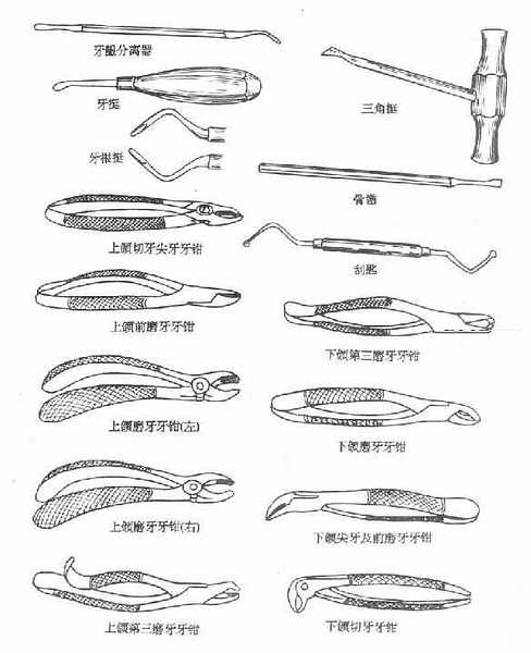 ����������е