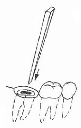 �ϸ��γ���ʾ��ͼ