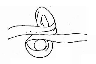 ������Լ��