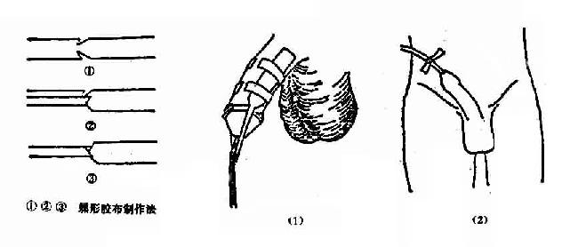 �в������õ���̶ܹ���