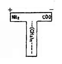 �������ż��������ģʽͼ