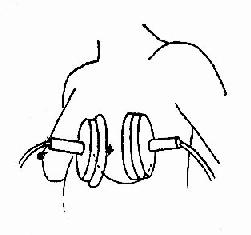 ������������Ʒ���