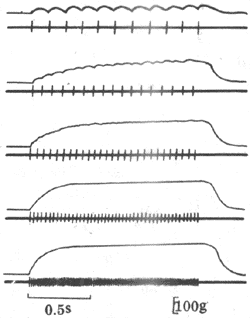 ��ͬƵ�ʵ������̼��Թ�����������Ӱ��