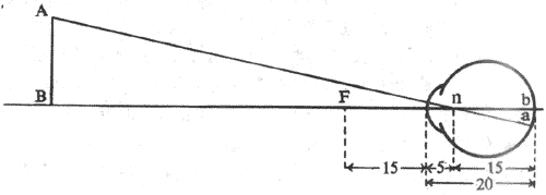 ���ۼ���������