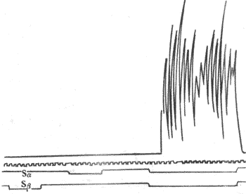 ���仡�����ڵ��˷ܲ��ͷֱ�̼���ͬƤ����λ