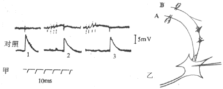 ͻ��ǰ����