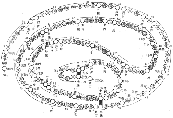 �������صĻ�ѧ�ṹ