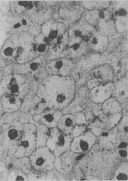 ��ϸ����������