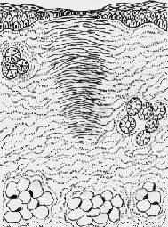 ���Ϻ��γɰ̺۴�