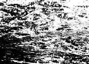 ������<a href=