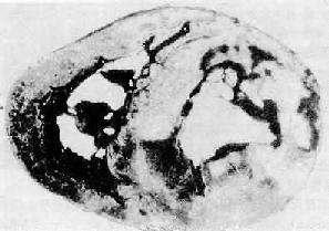 �ļ�����