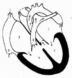 �Ҽ��ȱ��ģʽͼ