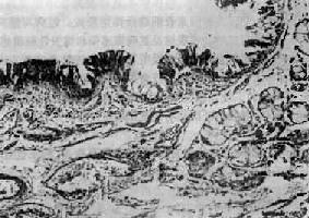 ����֧������