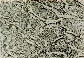 �����ʱ�