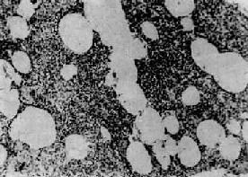 �����Է���