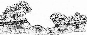 ����θ����ģʽͼ