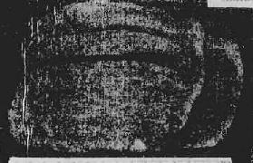 �����Ը�Ӳ��