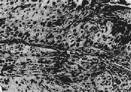 ��������ϸ��<a href=