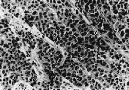 ��������ϸ��<a href=