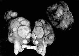 �ӹ�ƽ����<a href=