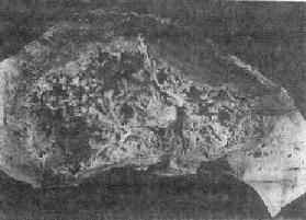 ���װ��Ը�ŧ��