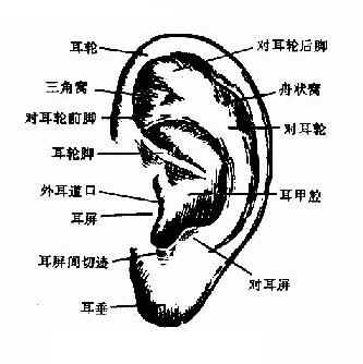 ���������־