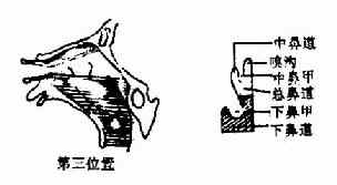 ǰ�Ǿ���������λ��