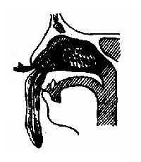 ��ǻ������