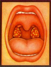 ���Ա�������