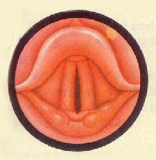 ���Ժ���