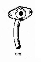 �����׹�