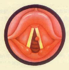 ����ճҺ��ά<a href=