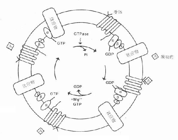 G-��������ʾ��ͼ