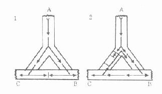 �ֿ�Ұ��άĩ�������嶯�������������ͺ��۷�