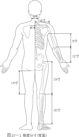 �Ƕȷִ編-����