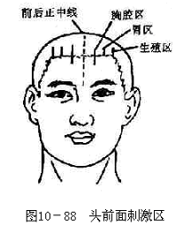 ͷǰ��̼���