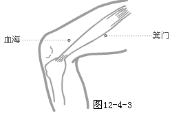 ��̫��Ƣ��Ѩ