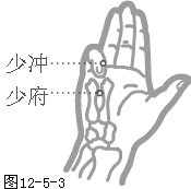 �������ľ���Ѩ